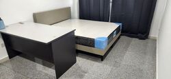 Blk 613 EUNOS GROVE (Bedok), HDB 5 Rooms #623194701